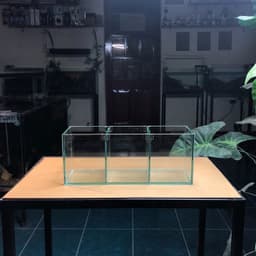 Bể Cá Betta Kích Thước 30x10x12cm Được Chia 3 Ngăn Tách Biệt | Kính Việt Nhật Dày 4mm | RF Aquarium 7