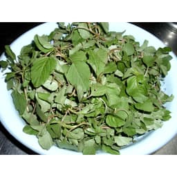 Gói 10gr hạt giống rau dền cơm 4
