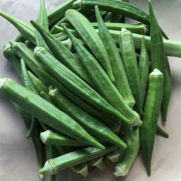 Hạt giống đậu bắp xanh năng suất cao 4