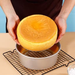Khuôn tròn nhôm đúc đế rời 10-16-20-25cm 3