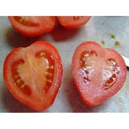 Gói 0.5GR hạt giống Cà Chua Trái Tim Đỏ 1