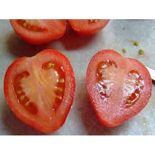 Gói 0.5GR hạt giống Cà Chua Trái Tim Đỏ