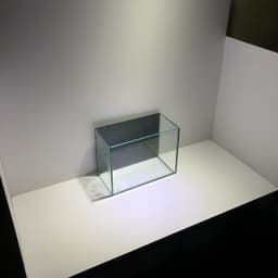 Hồ Show Cá 20x9x15cm Mặt Sau Dán Decan Đen 3