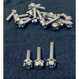 Ốc inox SALAYA size 8li15/8li25/8li30/8li40/8li60 ĐẦU TRỤ BÔNG cực sáng đẹp gắn dàn chân xe máy 9