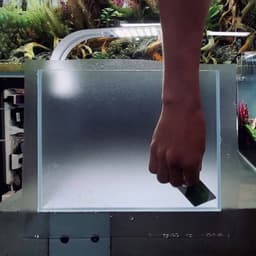 Decan Dán Bể Cá Cảnh thuỷ sinh nhiều kích thước và màu sắc (Đen, trắng, Nhám Mờ) 2
