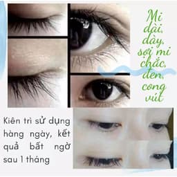 CHUỐT DƯỠNG LÀM DÀI, DÀY MI VÀ MÀY MẸ KEN 8