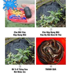 Rọ Bẫy Lươn, Tôm, Cá 8 Cửa hàng loại 1 Nhựa PP Thái Lan - Bẫy Tôm, Cua, Cá, Lươn, Trạch 8