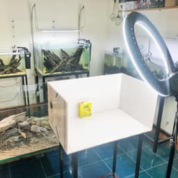 Cám Cá 7 Màu, Cám Dành Riêng Cho Cá Guppy (gói 18g) 2