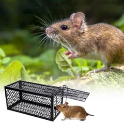 Bẫy Chuột Tự Động Gài Sập - Kích Thước 30x14x14cm Hiệu Quả 2