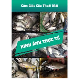 Cần Câu Tay Gama FX Bá Tước ( Diếc ) 7