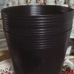 Combo 50 chậu nhựa đen size C10 KT: 25x19.5x20cm mềm dẻo bền đẹp 3
