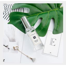 Lá cây chụp ảnh sản phẩm chuyên nghiệp ( Lá cây nhựa loại xịn ) 4