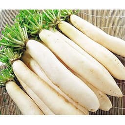 Gói 20GR hạt giống Củ Cải Trắng Bạch Tuyết 2