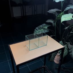 Keo Betta 2 Ngăn 20x10x12cm Tấm Ngăn Có Thể Tháo Rời 8