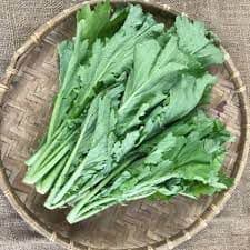 Hạt Giống Rau Cải Mèo Tây Bắc Chất Lượng F1 Chịu Nhiệt, Dễ Trồng, Thu Hoạch Sớm, Kháng Sâu Bệnh 3