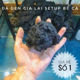 1kg Đá Đen Gia Lai dùng setup bể cá thủy sinh nhiều kích thước 2