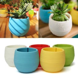 Chậu cây mini nhiều màu sắc dùng trang trí văn phòng-màu ngẫu nhiên 1
