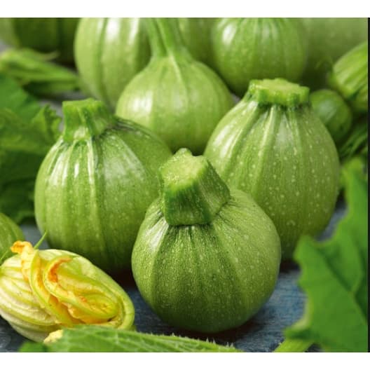 Gói 4 hạt giống bí ngòi banh xanh sáng F1