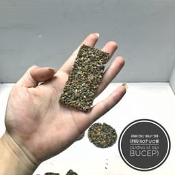Giá thể ươm bucep, ráy, dương xỉ thủy sinh nhiều kích thước 6
