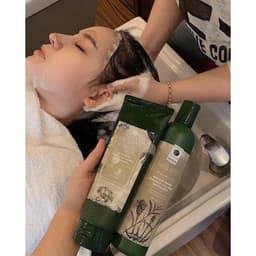 (Công ty) Cặp Dầu Gội Xả Gừng Weilaiya Giảm Rụng, Mọc Tóc Nhanh| Cherry Beauty 6