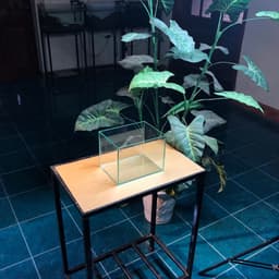Bể Cá Mini Kích Thước 20x15x15cm Dùng Nuôi Cá Betta Dán Dấu Keo Mài Vi Tính | RF Aquarium 2