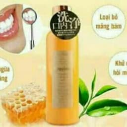 Nước xúc miệng Nhật Propolinse 600 ml 2