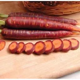 Gói 150  hạt giống Cà Rốt Tím Purple Giàu Anthocyanin 1