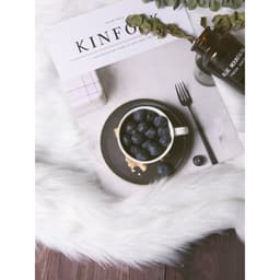 Thảm lông chụp ảnh tặng kèm lược chải có video tự quay kích thước 40*50CM 4