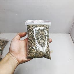 1kg Sạn Suối Tự Nhiên dùng trải nền bể cá (Sản phẩm có nhiều size) 5