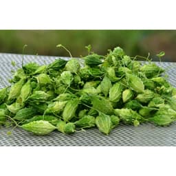 Gói 2g hạt giống khổ qua rừng 4