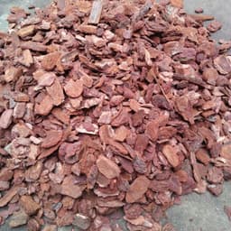 Vỏ thông đỏ xay vụn - Giá thể trồng lan chuyên dụng hàng đẹp 3