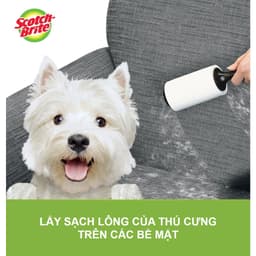 Cây Lăn Bụi Loại Lớn Scotch Brite 30 Lớp, Cây Lăn Bụi Làm Sạch Lông Chó Mèo,Bụi Quần Áo,Ghế Sofa 2