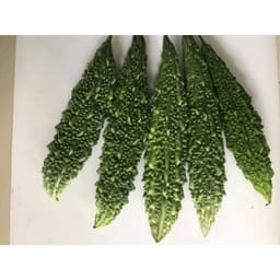 Gói 1g hạt giống khổ qua F1 - trái lớn xanh đậm 4