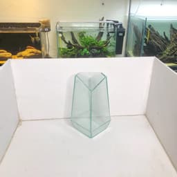 (Update Bản Sillicon Đen) Bể Terrarium Đa Giác Trang Trí Bàn Làm Việc 12x12x25cm 4