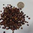 Gói 0.5GR hạt giống hoa Phòng Phòng Vàng 2