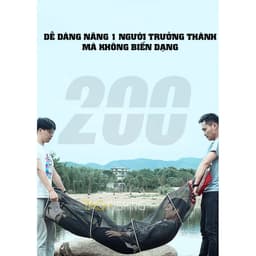 Rọng cá vuông Lianqiu cao cấp DF - 45x300 7