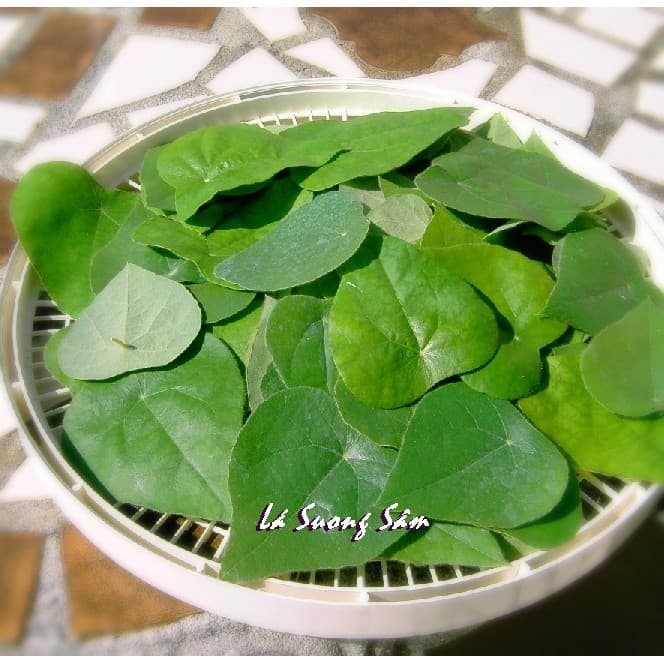 Gói 20 hạt giống sương sâm lông - Tiliacora triandra