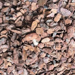 Vỏ thông đỏ băm nhỏ - Giá thể trồng lan chuyên dụng size 2-3cm hàng đẹp cây lan ta trông sẽ phát triển nhanh và không ph 3