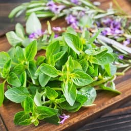 Gói 100 hạt giống Marjoram Kinh Giới Ngọt 5