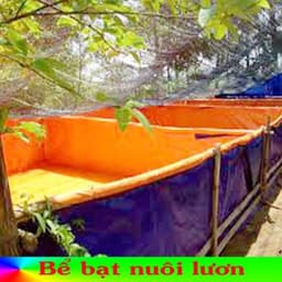 Bể Bạt Nuôi Cá, Tôm, Lươn, Ếch ... Bể Bạt Việt Hàn Tuổi Thọ Trên 3 Năm, Chất Liệu Tốt Dễ Dàng Sử Dụng 4