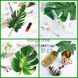 Lá cây chụp ảnh sản phẩm ( lá hoa nhựa giả trang trí decor ) 6