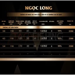 Cần Câu Tay Gama Seiko Ngọc Long 2