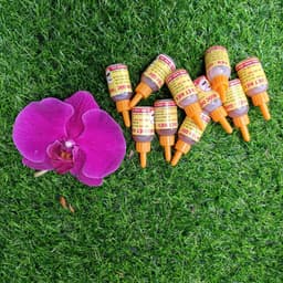 Combo 10 chai Thuốc diệt kiến, diệt gián sinh học hiệu quả, an toàn cho người và vật nuôi 2