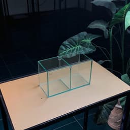 Keo Betta 2 Ngăn 20x10x12cm Tấm Ngăn Có Thể Tháo Rời 3