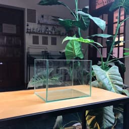 Bể Cá Mini Kích Thước 20x15x15cm Dùng Nuôi Cá Betta Dán Dấu Keo Mài Vi Tính | RF Aquarium 4