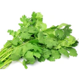 HẠT GIỐNG NGÒ HẠT LỚN Ngò Đỏ Mùi ta - 20gr 3