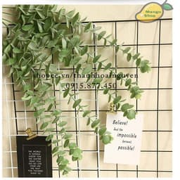 Lá cây bạch đàn Eucalyptus decor trang trí nhà cửa , phụ kiện chụp ảnh 3