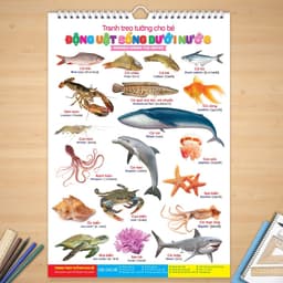 Tranh treo tường 14 chủ đề đồ chơi thông minh giúp bé nhận biết thế giới xung quanh 4