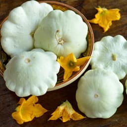Gói 1GR hạt giống Bí Đĩa Bay Nhiều màu 4