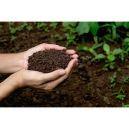 Đất trồng hữu cơ - bao lớn 2